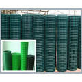 Decorative Welded PVC Coated Holland Wire Mesh